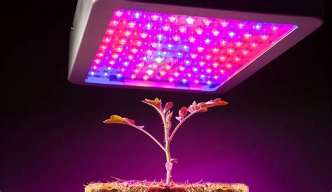 Best Full Spectrum Led Grow Lights of 2021: Reviews The Authentic Top 10