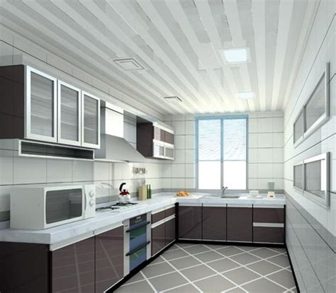 Pvc Kitchen Ceiling Design