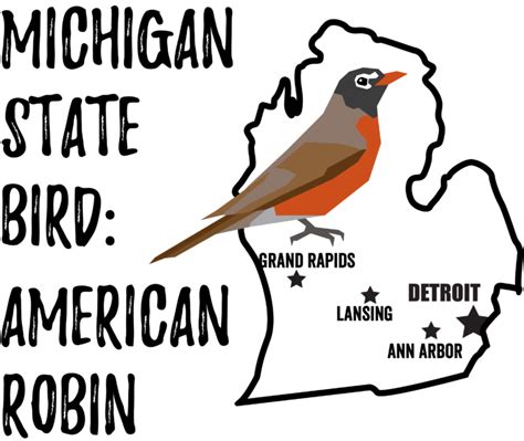 Michigan State Bird - Bird Watching Academy