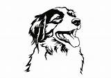 Kooikerhondje Svg Kooiker Clipart Png Dog Portrait Art  Etsy sketch template