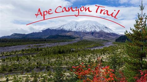 Ape Canyon Trail Mt. St. Helens NVM Washington USA #hiking #camping #outdoors #nature #travel # ...