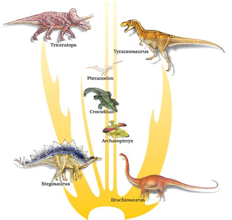 Evolution - NCERT Class 12 Biology