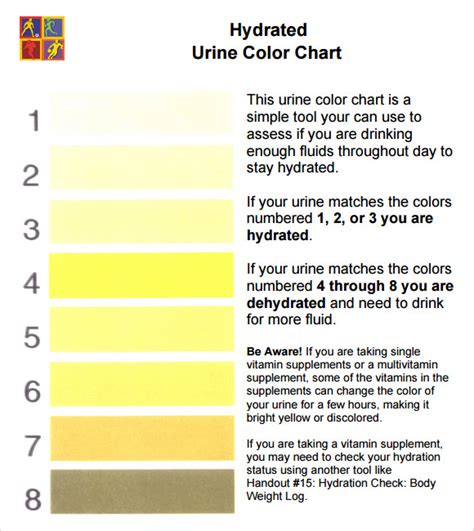 urine color chart what color is normal what does it mean - free printable urine color charts ...