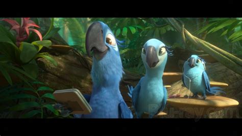 Rio 2 Blu-ray (Blu-ray + DVD + Digital HD)