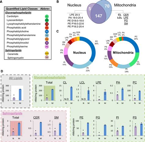 Lipidomics Analyses Reveal Temporal and Spatial Lipid Organization and Uncover Daily ...