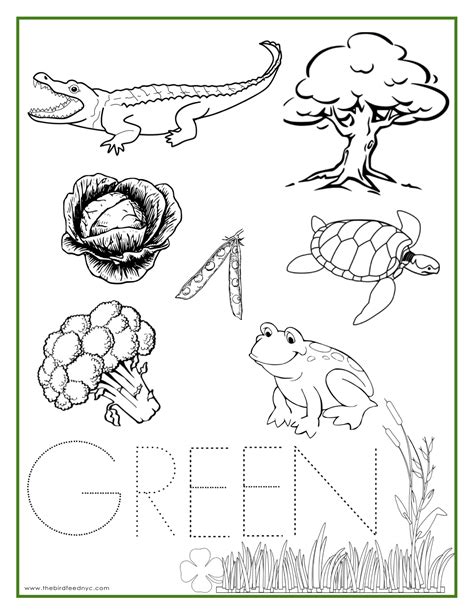 Green Worksheet For Preschoolers