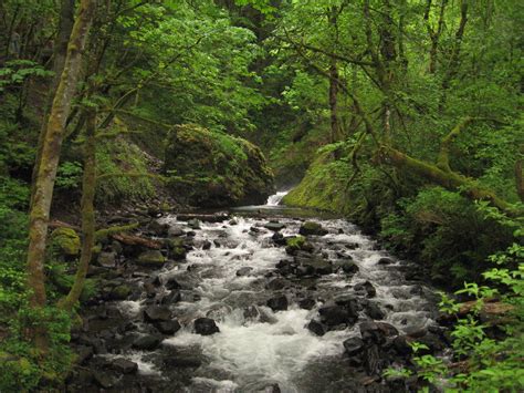 Seeking Serendipity:: A Banquet of Oregon Waterfalls