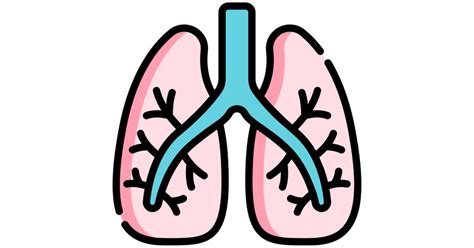 Lungs free vector icons designed by Freepik | Medical icon, Lunges, Icon