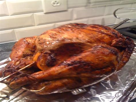 Rotisserie Turkey Recipe - Food.com