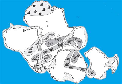 Lesson Pangaea - Wegener's Puzzling Evidence | BetterLesson