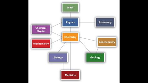 The Various Fields of Science - YouTube