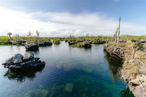 6 Best Hikes in The Galapagos Islands (2024 Hiking Guide)