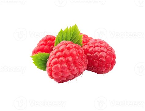 berry png transparent background 29228778 PNG