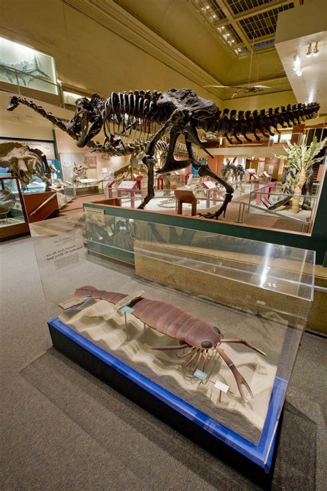 Smithsonian Insider – $35-million donation will build new dinosaur hall at National Museum of ...