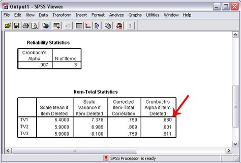 Cronbach's Alpha with SPSS