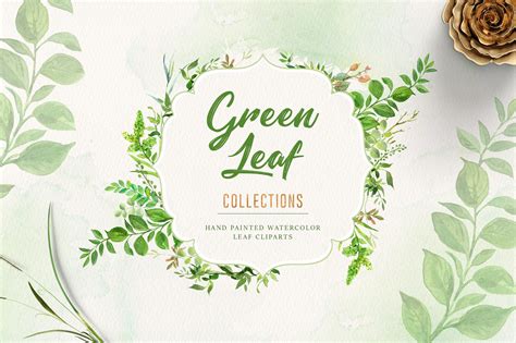 Watercolor Green Leaf Clip Art | Illustrations ~ Creative Market