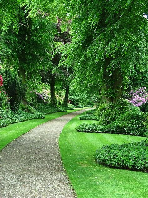 43 best Greenery Wallpapers images on Pinterest | Greenery, Paisajes ...