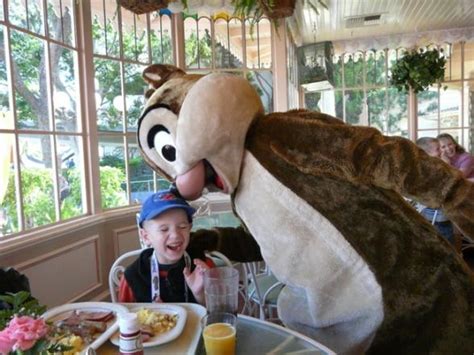 - Disneyland Resort Character Meals - Bon Voyage