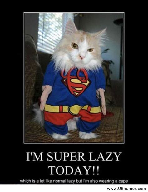 Funny Lazy Memes I'm Super Lazy Today!! | QuotesBae