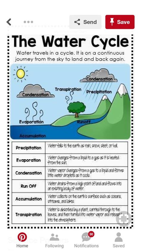 Water cycle poster project