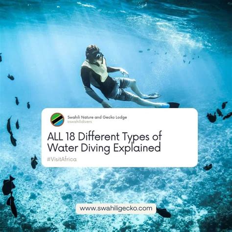 ALL 18 Different Types of Diving Explain (With Images) — Swahili Divers