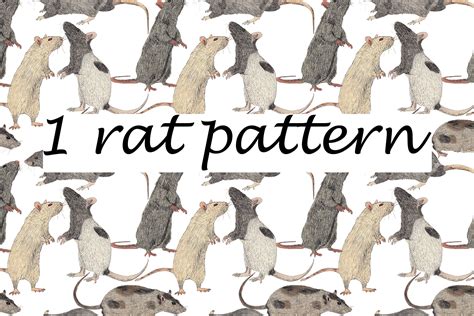 Rat pattern | Custom-Designed Graphic Patterns ~ Creative Market