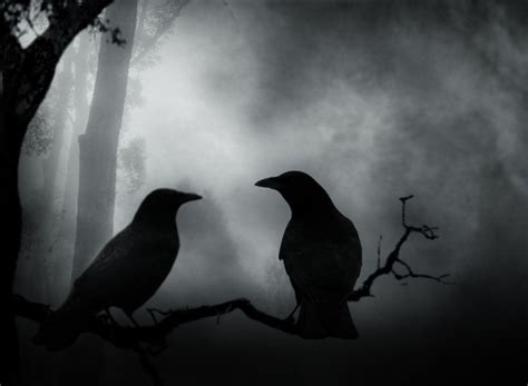 Dark Crow Wallpapers - Top Free Dark Crow Backgrounds - WallpaperAccess