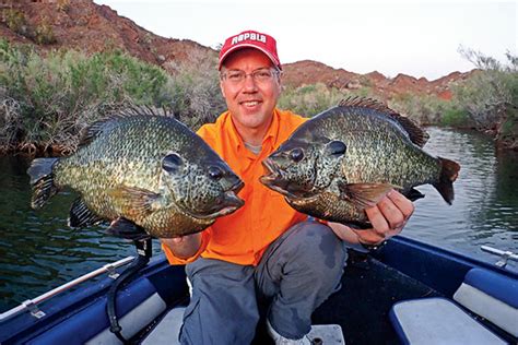 Finding Giant Shellcracker Sunfish - In-Fisherman