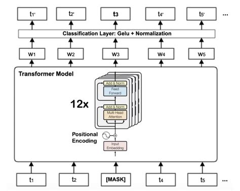 The Transformer based BERT base architecture with twelve encoder blocks. | Download Scientific ...