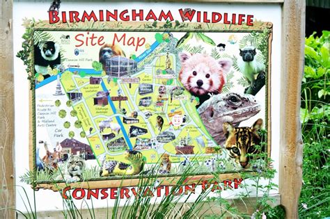 Birmingham Wildlife Conservation Park (Nature Centre) ⋆ Mama Geek