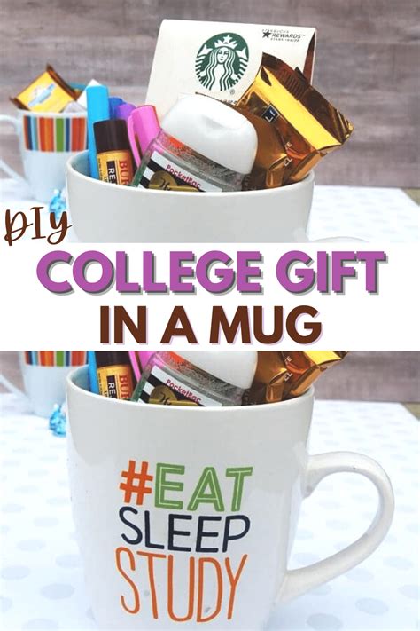 College Gift in a Mug