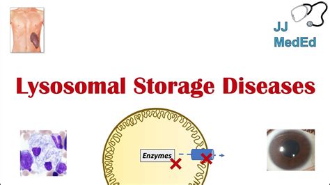 Lysosomal Storage Diseases | Overview and What You Need to Know - YouTube