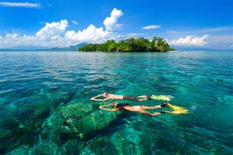 Snorkeling Paradise: Exploring Bunaken Marine Park's Beauty