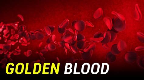 Golden Blood Is The World’s Rarest Blood Type. Here’s Wh