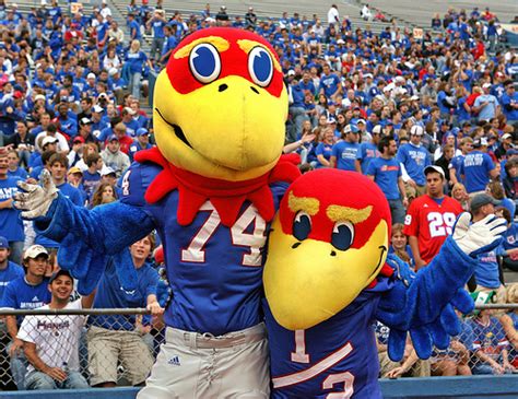 Kansas Football Mascot - Big 12 Football Online