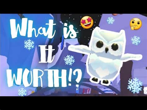 What Is A ☆Snow Owl☆ Worth In Adopt Me!? (Roblox/Adopt me Trading) - YouTube