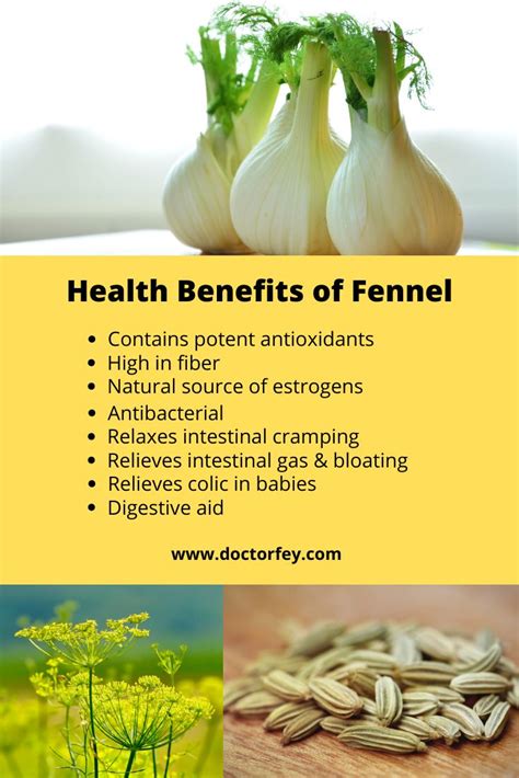 Natural Health Benefits of Fennel | Benefits of fennel, Natural ...