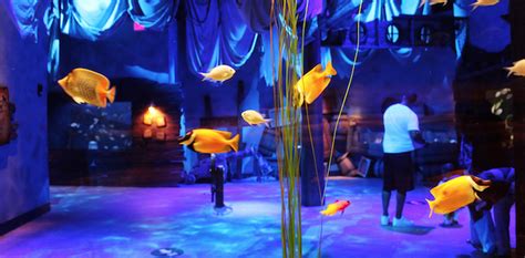 Newport Aquarium emerges from long shutdown as a safe and entertaining favorite family ...