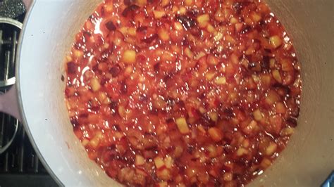 Homemade Plum Jam & Canning Tips | goodmotherdiet