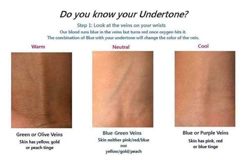 Find Your Perfect Foundation Shade with Skin Undertones & Color Chart