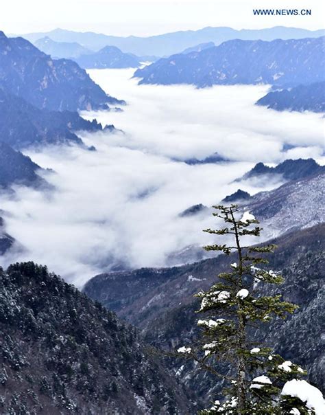 Images of the Most Spectacular Forest of China: Shennongjia