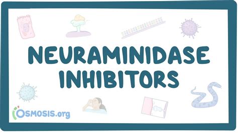 Neuraminidase inhibitors: Video, Causes, & Meaning | Osmosis