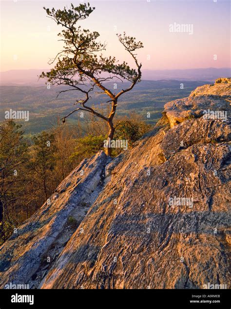 Cheaha Mountain Cheaha Mountain State Park Cheaha Wilderness Talladega National Forest Alabama ...