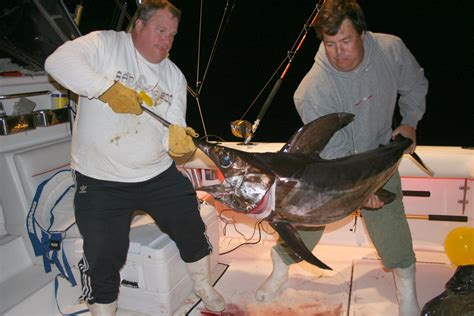 September Swordfish: Fishing Tips and Tricks | FishTalk Magazine