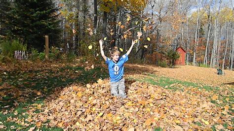 FALL FUN-Take Time to Jump in a Pile of Leaves! - JOYFUL DAISY