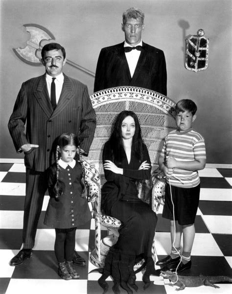 File:Addams Family main cast 1964.JPG