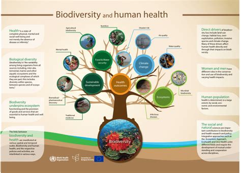 Biodiversity - why is biodiversity so important? | ResearchGate