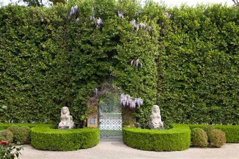 Hidden Oasis | Los Angeles Garden - The Carrie Source