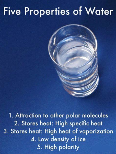 5 properties of water: cohesion, high specific heat, high heat of vaporization, lower density of ...