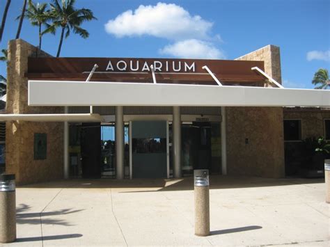 Waikiki Aquarium - Hawaii Travel Guide